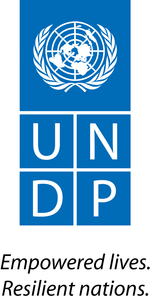 UNDP logo black tagline