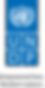 UNDP